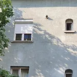 Brand New Apartment